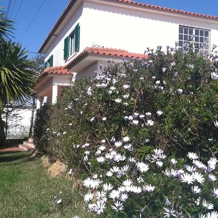Free Spirit Homestay *